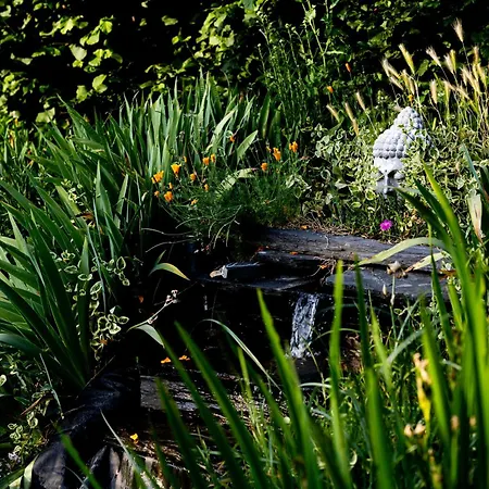 D'hotes Du Anjou Thorigné-dʼAnjou