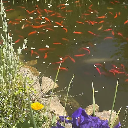 D'hotes Du Anjou 3* Thorigné-dʼAnjou