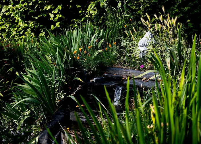 D'hotes Du Anjou Thorigné-dʼAnjou