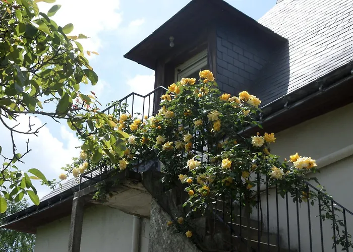 D'hotes Du Anjou לינה וארוחת בוקר